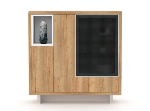 DORSIA-S11