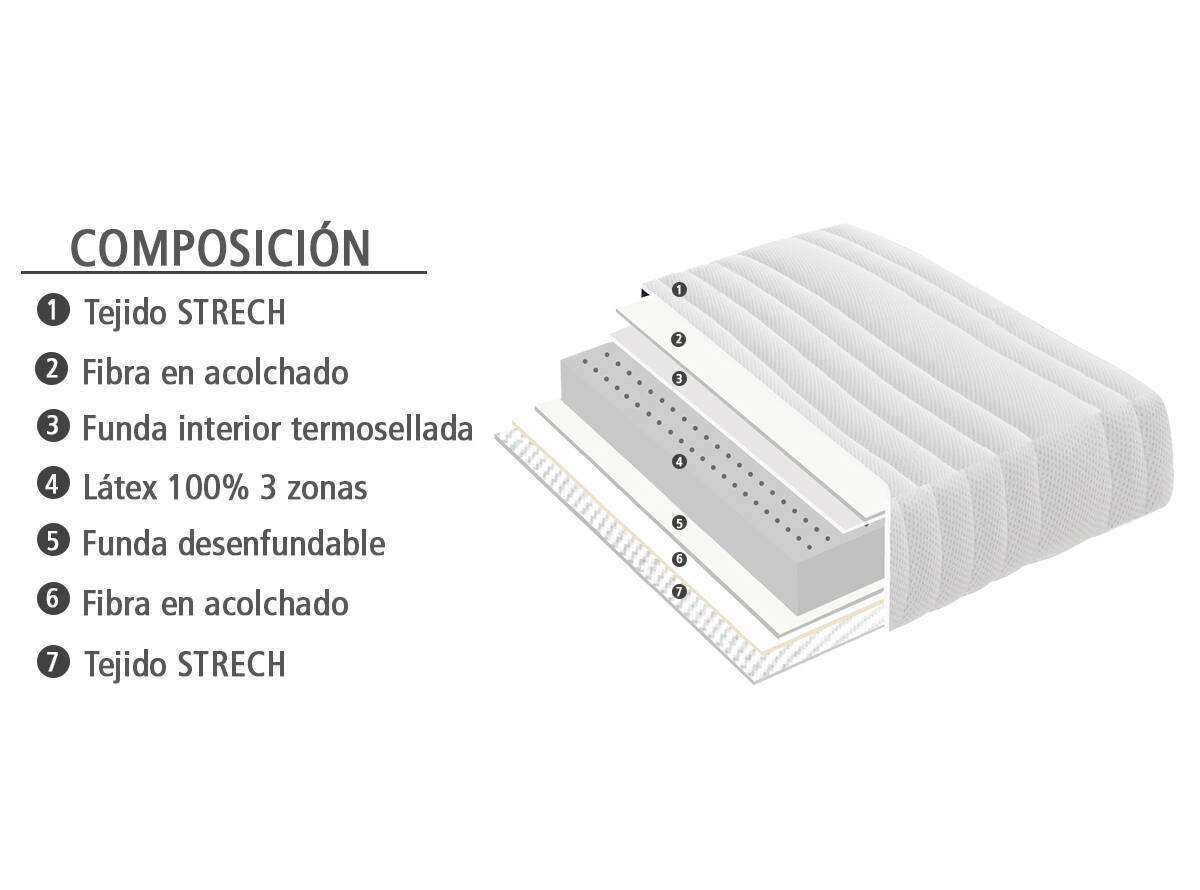 PAUTO 1